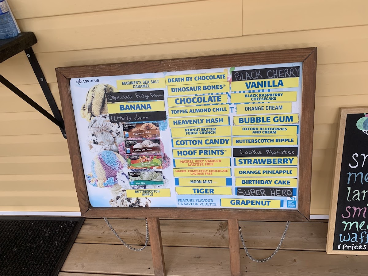 Flavors Ice Cream Photos 2